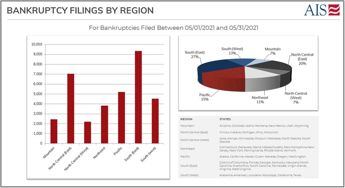 BANKRUPTCY FILINGS BY REGION (PAGE SCREENSHOT)
