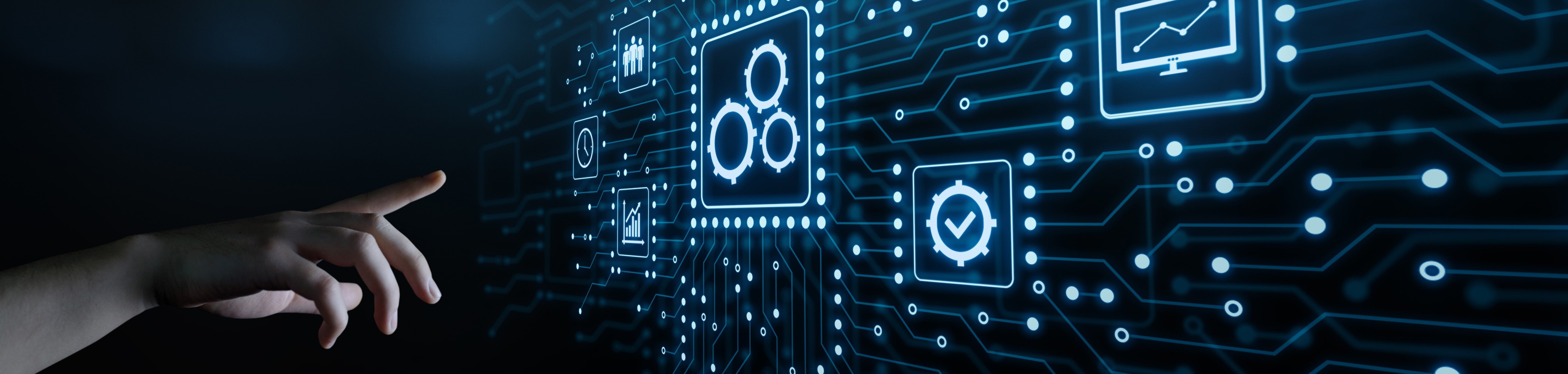 REPORT: AIS Insight - August 2024 Bankruptcy Data