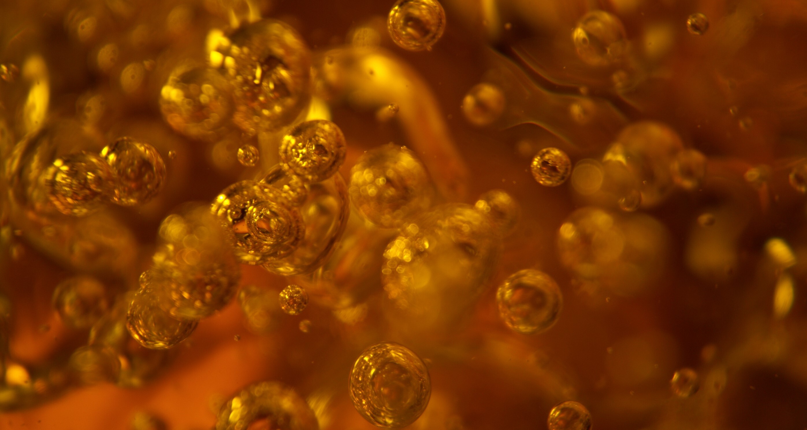 Back-Office Wins Beer Distributors Are Carrying Into 2026