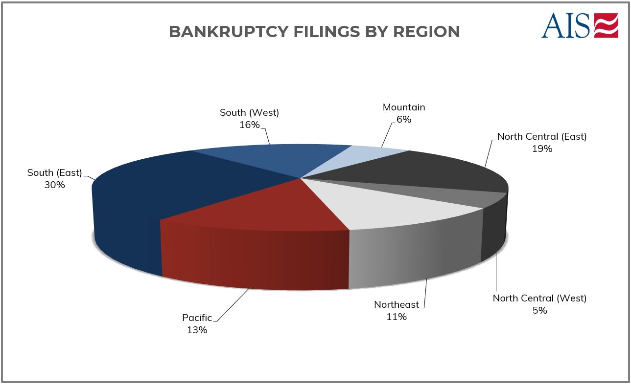 AIS Insight_Jan 2022_BANKRUPTCY FILINGS BY REGION (PIE GRAPH)-1